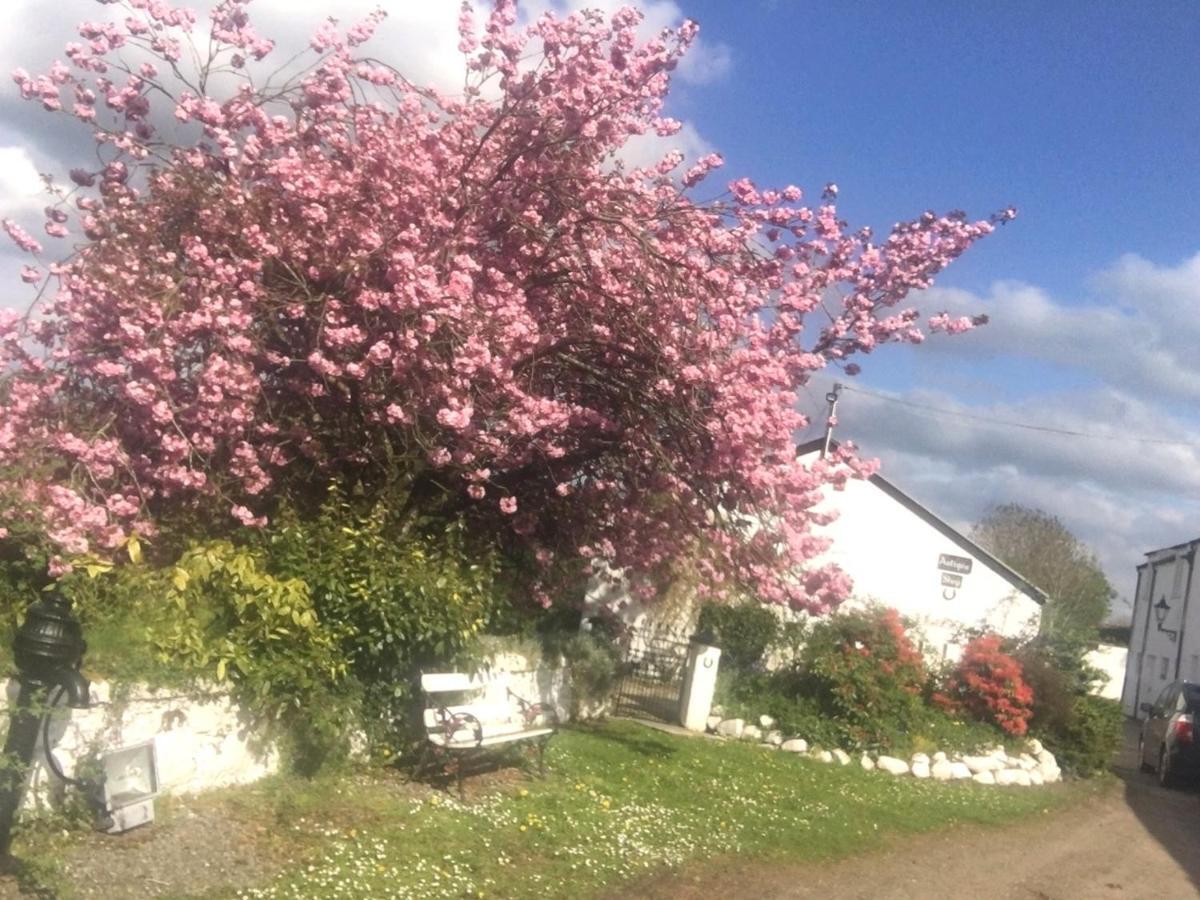 Kingsmills Cottages Artrea Dış mekan fotoğraf